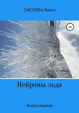 Раиса Сысоева Нейроны льда обложка книги