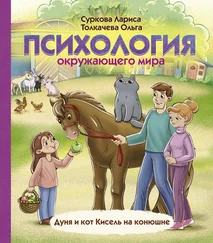 Ольга Толкачева - Психология окружающего мира. Дуня и кот Кисель на конюшне