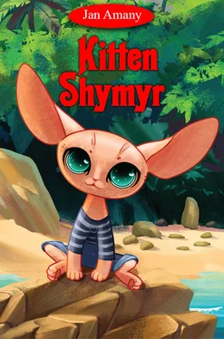 Jan Amany Kitten Shymyr обложка книги