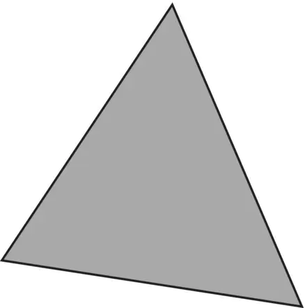 Figure 29The Beautiful Triangle as a way to understanding degrees of - фото 91
