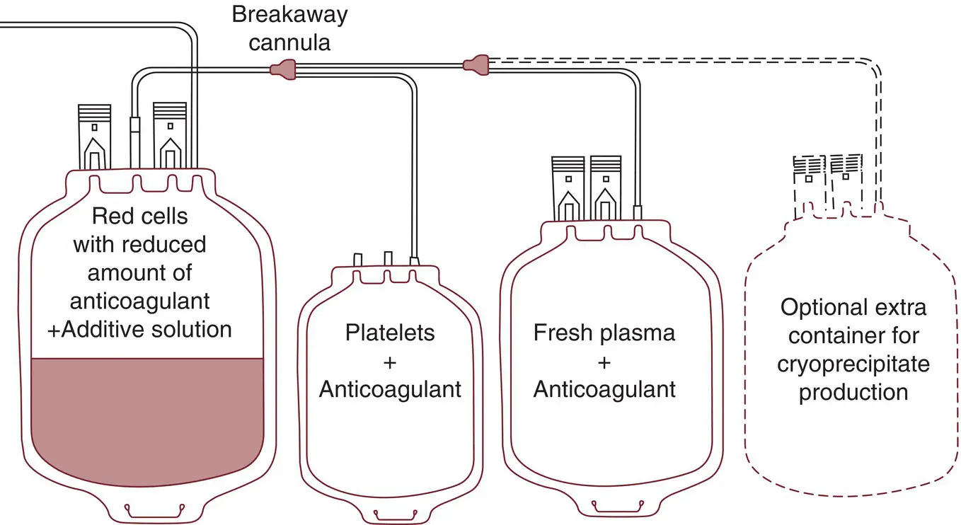 Figure 52 Diagrammatic illustration of the separation of whole blood into red - фото 5