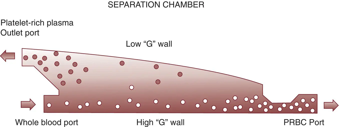 Figure 61 Flow pathway and blood separation of the Fresenius Kabi Amicus - фото 7