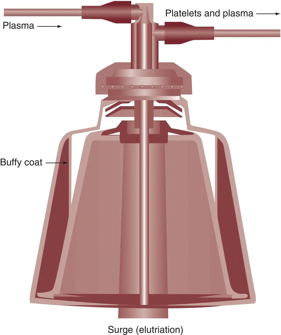 Figure 62 Flow pathway and blood separation in the Haemonetics Latham bowl - фото 8