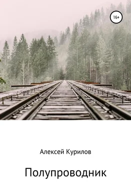 Алексей Курилов Полупроводник обложка книги