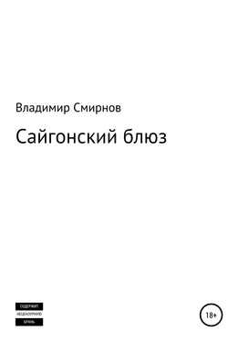 Владимир Смирнов Сайгонский блюз обложка книги