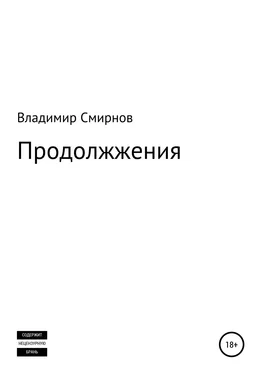 Владимир Смирнов Продолжжения обложка книги