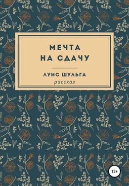 Луис Шульга Мечта на сдачу обложка книги