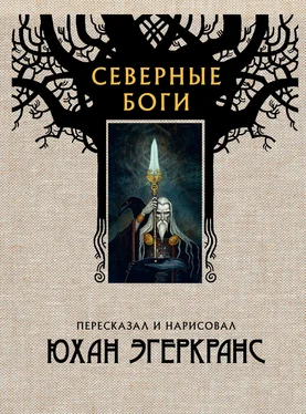 Юхан Эгеркранс Северные боги обложка книги