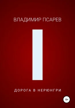 Владимир Псарев Дорога в Нерюнгри обложка книги