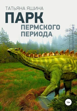 Татьяна Яшина Парк Пермского периода обложка книги