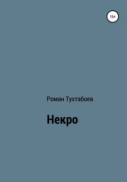 Роман Тухтабоев Некро обложка книги