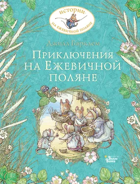 Джилл Барклем Приключения на Ежевичной поляне обложка книги