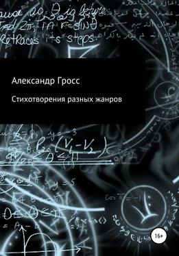 Александр Гросс Стихотворения разных жанров обложка книги