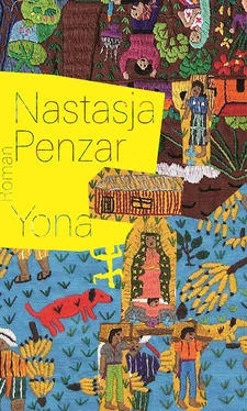 Nastasja Penzar Yona обложка книги