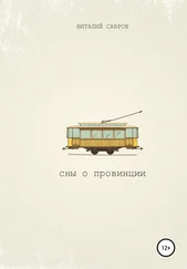 Виталий Савров - Сны о Провинции