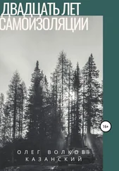 Олег Волков-Казанский - Двадцать лет самоизоляции
