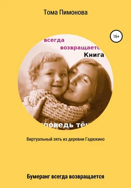 Тома Ларионова Виртуальный зять из деревни Гадюкино обложка книги