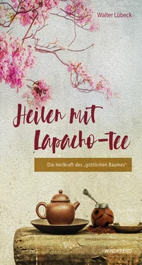 Walter Lübeck Heilen mit Lapacho-Tee обложка книги