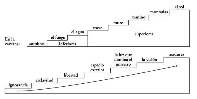 La analogía se aplica a la sociedad porque es igual a un lugar para elevar al - фото 11
