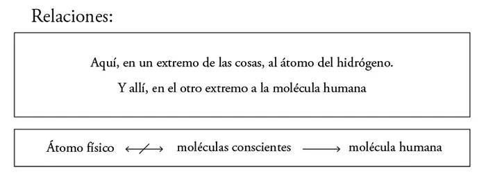 Ahora ha entendido que por todo su ser y en todos sus puntos la Weltsto f f - фото 29