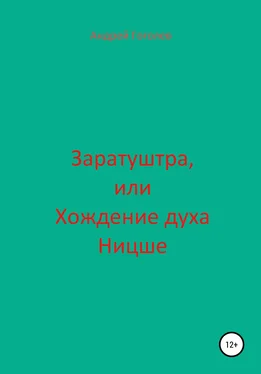 Андрей Гоголев Заратуштра, или Хождение духа Ницше обложка книги