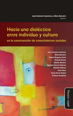 José Antonio Castorina Hacia una dialéctica entre individuo y cultura en la construcción de conocimientos sociales обложка книги