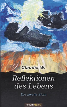 Claudia W. Reflektionen des Lebens обложка книги