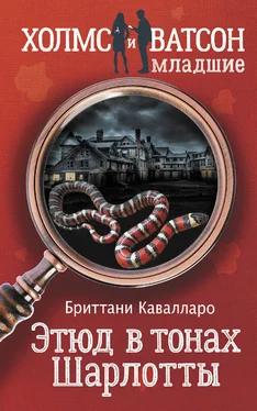 Бриттани Кавалларо Этюд в тонах Шарлотты обложка книги
