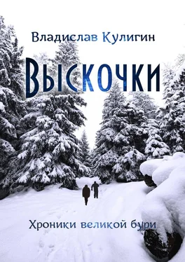 Владислав Кулигин Выскочки обложка книги