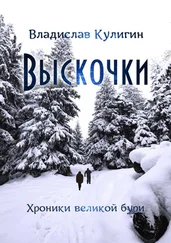 Владислав Кулигин - Выскочки