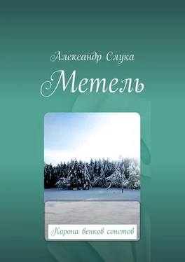 Александр Слука Метель. Корона венков сонетов обложка книги