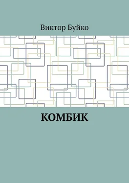 Виктор Буйко Комбик обложка книги