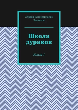 Стефан Завьялов Школа дураков. Книга 1 обложка книги