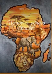 Ирина Михеева - История одного прайда