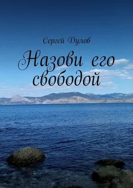 Сергей Дулов Назови его свободой обложка книги