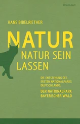 Hans Bibelriether - Natur Natur sein lassen