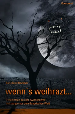 Karl-Heinz Reimeier wenn's weihrazt обложка книги