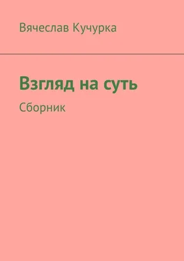 Вячеслав Кучурка Взгляд на суть. Сборник обложка книги