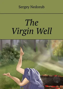 Sergey Nedorub The Virgin Well обложка книги