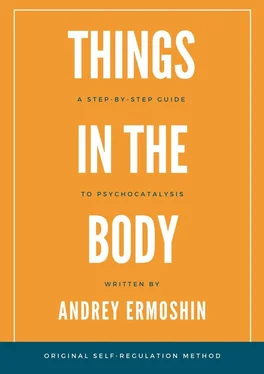 Andrey Ermoshin Things in The Body обложка книги