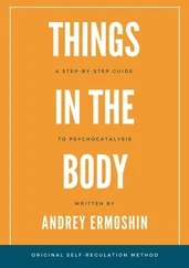 Andrey Ermoshin - Things in The Body