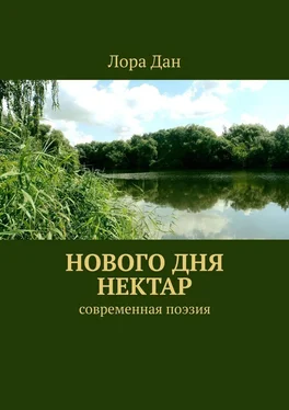 Лора Дан Нового дня нектар. Современная поэзия обложка книги