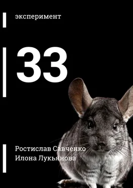 Ростислав Савченко 33 обложка книги