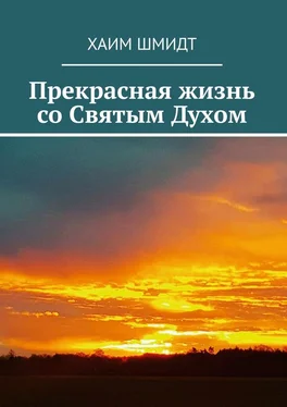 Хаим Шмидт Прекрасная жизнь со Святым Духом обложка книги