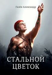 Александр Галёв - Стальной Цветок