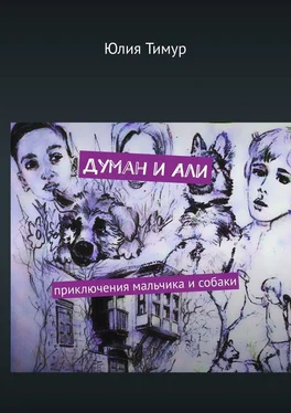 Юлия Тимур Думан и Али. Приключения мальчика и собаки обложка книги