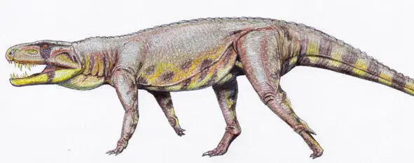 Archosaurus pierwsza jaszczurka Z gadów które przetrwały wyróżniają się - фото 14