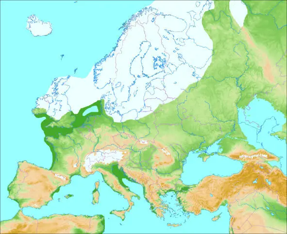 Zlodowacenie Wurm Ostatnia epoka lodowcowa czyli zlodowacenie Wurm rozpoczęła - фото 19