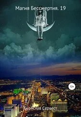 Бурислав Сервест - Магия Бессмертия 19. Игра