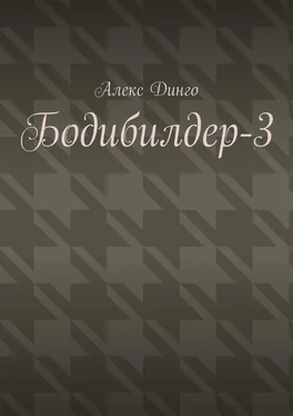 Алекс Динго Бодибилдер-3 обложка книги